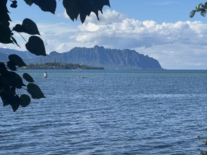 Kaneohe Bay Field Site